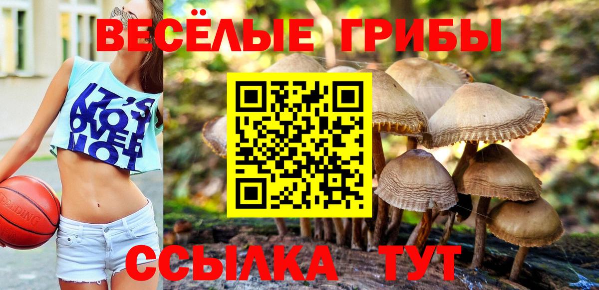 купить закладку  Псилоцибиновые грибы GOLDEN TEACHER  Вход с VPN  Лянтор 